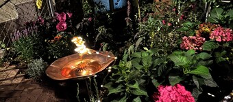 Lovely 1-bedroom studio located in the basement. Private entrance