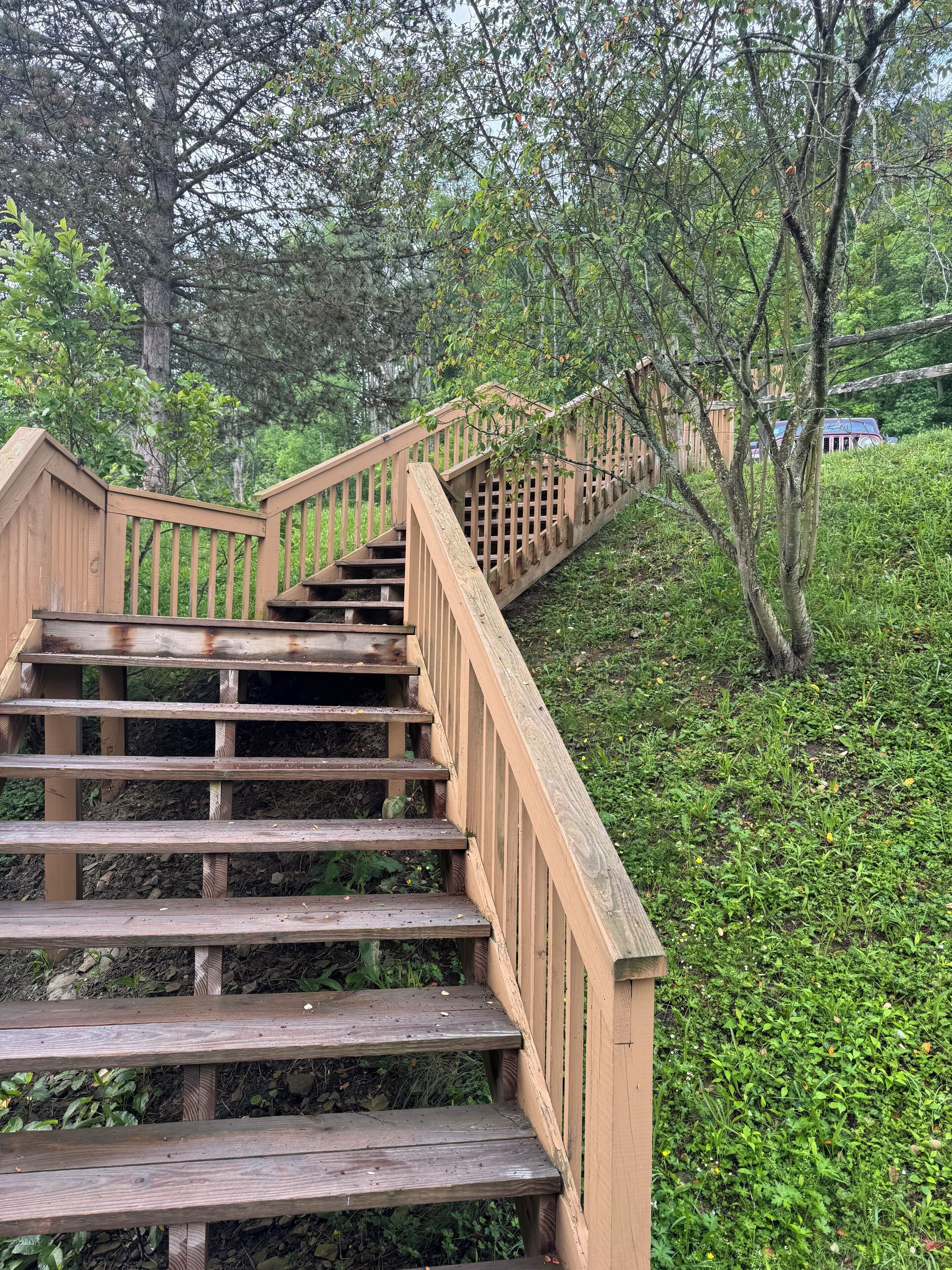 A wooden staircase with a railing leading up a grassy slope.