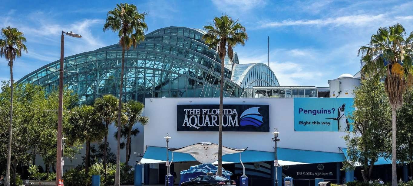 Acuario de Florida con un amplio frente de cristal, palmeras y un cartel publicitario de pingüinos.