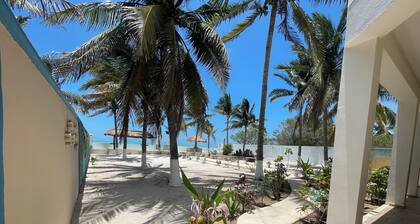 Cozy 1-bedroom apartment in charming CelestĂșn with AC