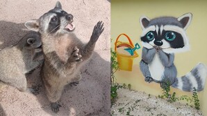 A raccoon and a raccoon painting. - MARAVILLA: Spacious 1-bedroom apartment with AC in charming Celestún. (Celestún)