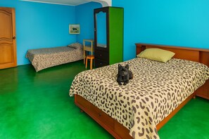 Iron/ironing board, WiFi, bed sheets