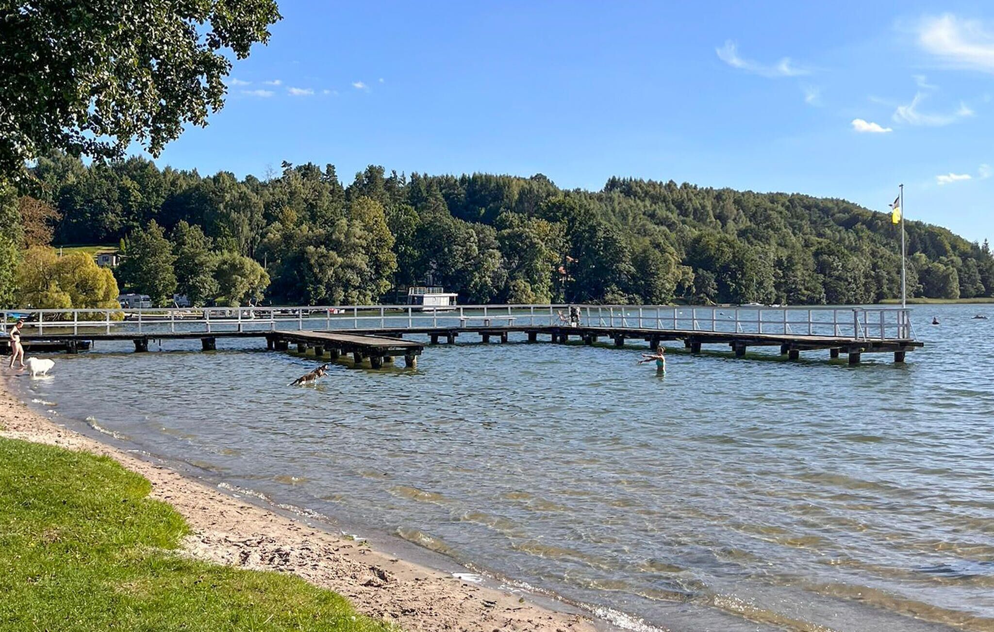 Un parc a la vora d'un llac amb un moll de fusta que s'endinsa a l'aigua, envoltat d'arbres i una zona verda.