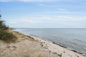 Une plage de sable, avec de l’eau et une végétation clairsemée.