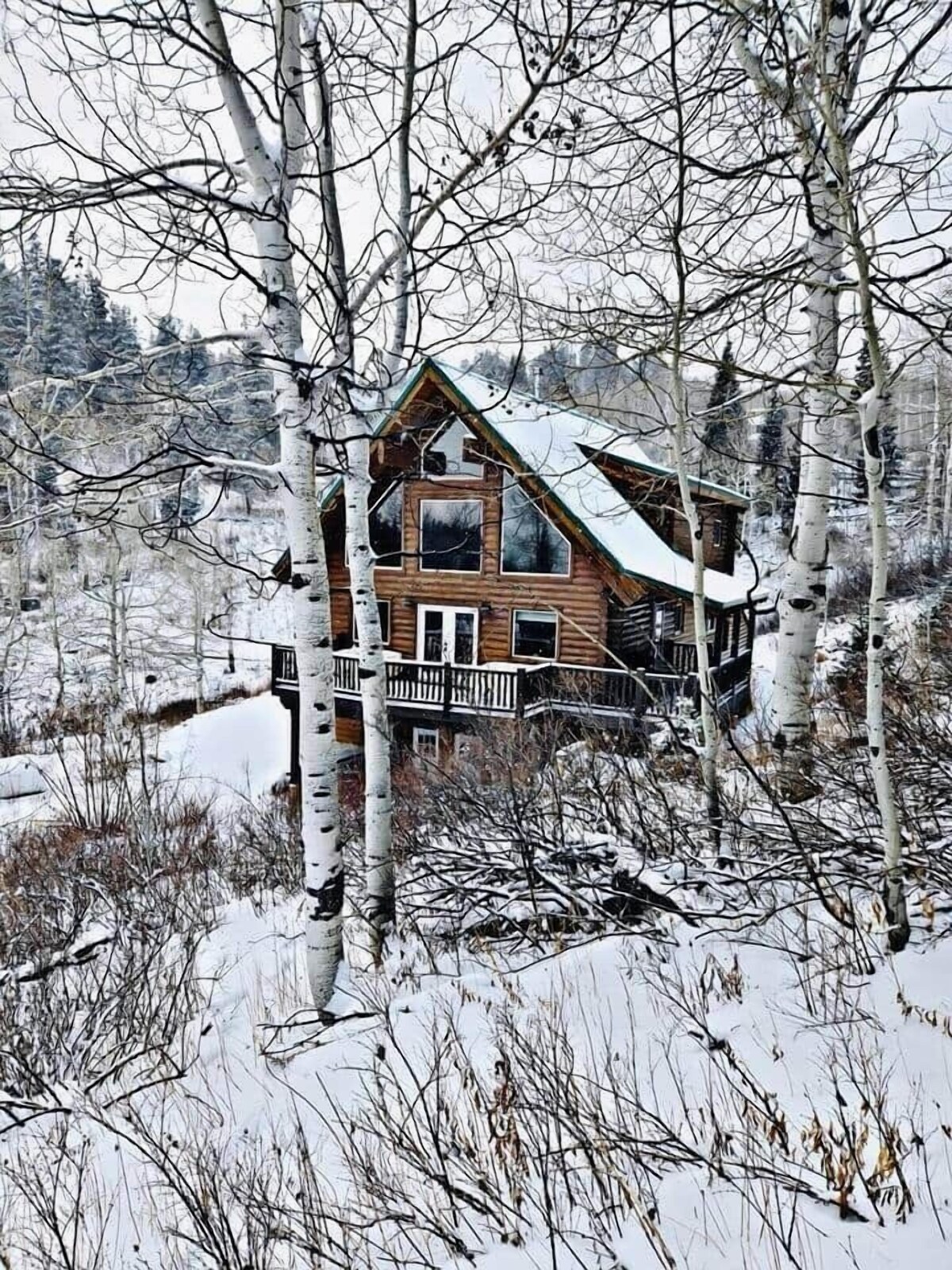 オーナーのプロフィール画像