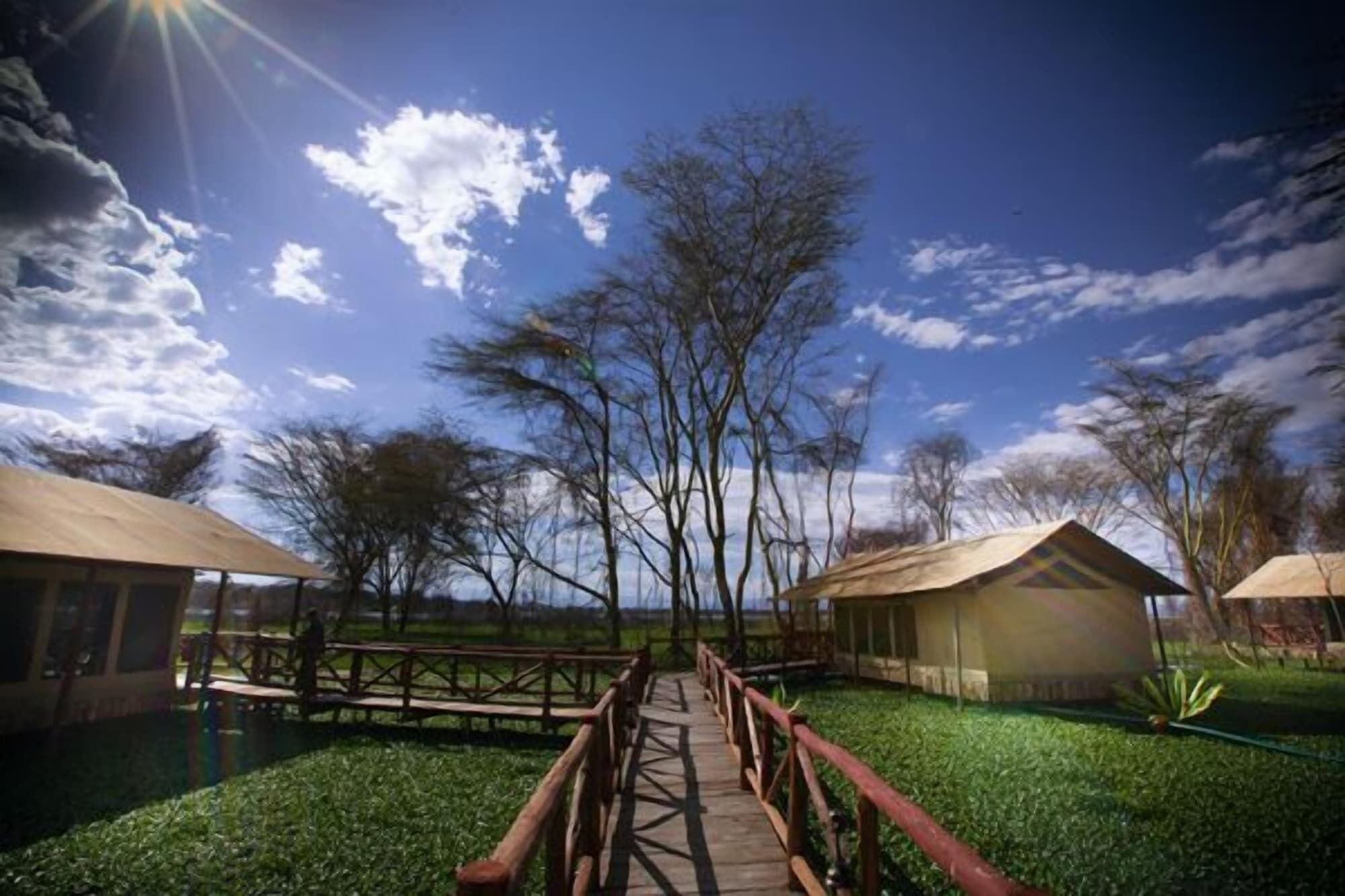 A wooden bridge leading to a lodge with a clear view of the sky and trees.