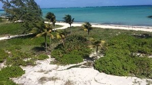 Una playa de arena blanca, con vegetación verde y cielo azul claro.