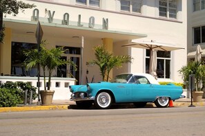 Property grounds - Retro Miami Getaway with Free Parking 1 Minute from Beach (Miami Beach)
