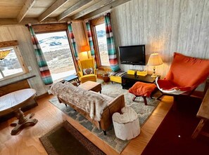 TV - Highlander cabin in Centennial valley (Albany County)