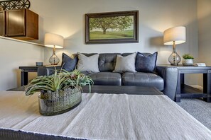 TV - New 3 Bed/2 bath Park facing Townhome (Colorado Springs)