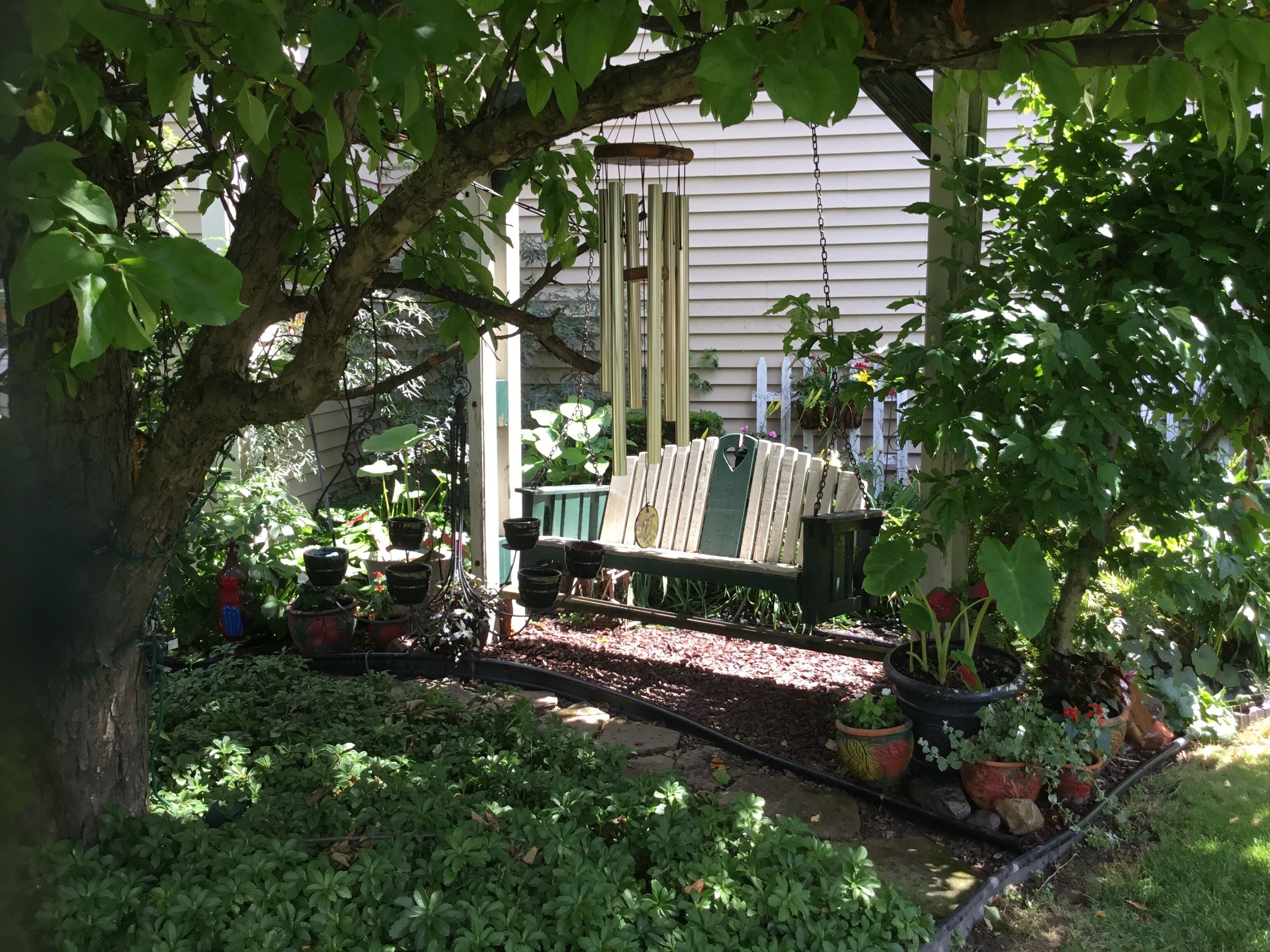 A garden with a bench, potted plants, and a hanging planter.