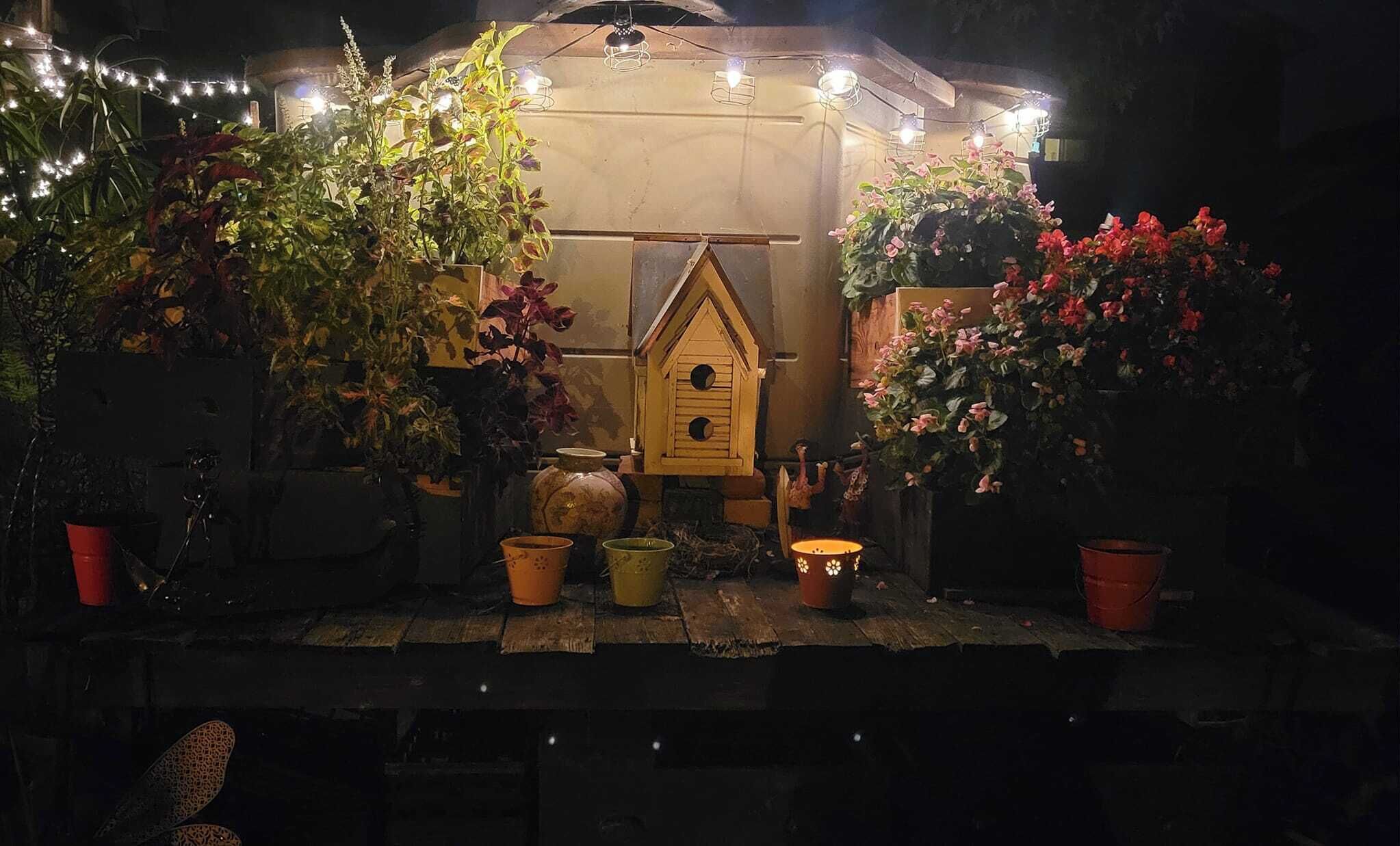 Un entorno rústico al aire libre con un comedero de pájaros de madera, plantas en macetas y luces de cuerda.