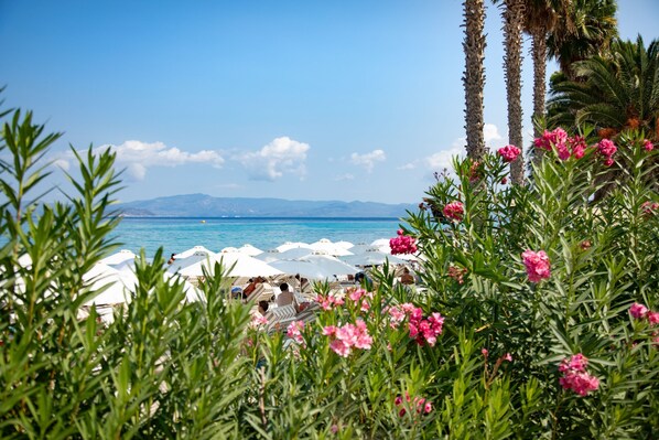 Beach - Olive Grove Panorama 6 – Sea Views, Pool, WiFi, Aircon (Hanioti)