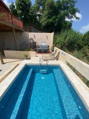 Ein rechteckiger Pool mit Whirlpool und Liegestühlen in einer gepflegten Grünanlage.