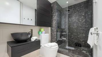 Shower, hair dryer, towels, shampoo