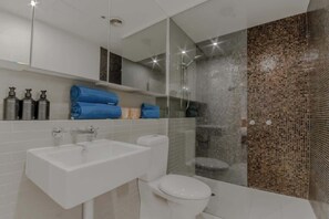 Chuveiro, secador de cabelo, toalhas de banho, shampoo