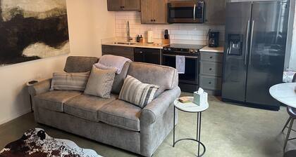 City View 1-King bed 1-bath with 1-queen sofa couch Condo in Downtown Knoxville
