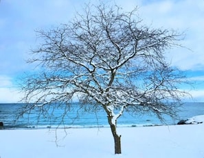 Beach - Cozy Getaway by the bay-Close to Mountain & Beach (Meaford)