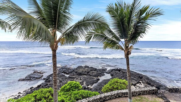 Paisaje costero con dos palmeras, costa rocosa y olas del océano.