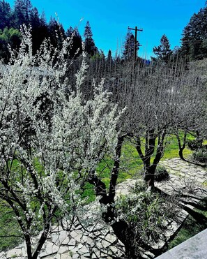 Parco della struttura