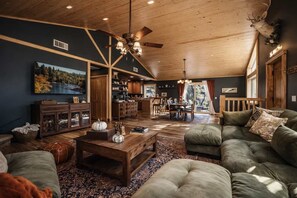 Smart-TV, Kamin, Bücher, Musikbibliothek