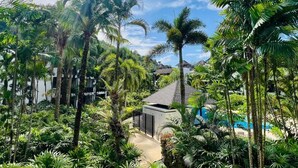 A lush tropical garden with palm trees, a pool, and a building with a sloped roof.