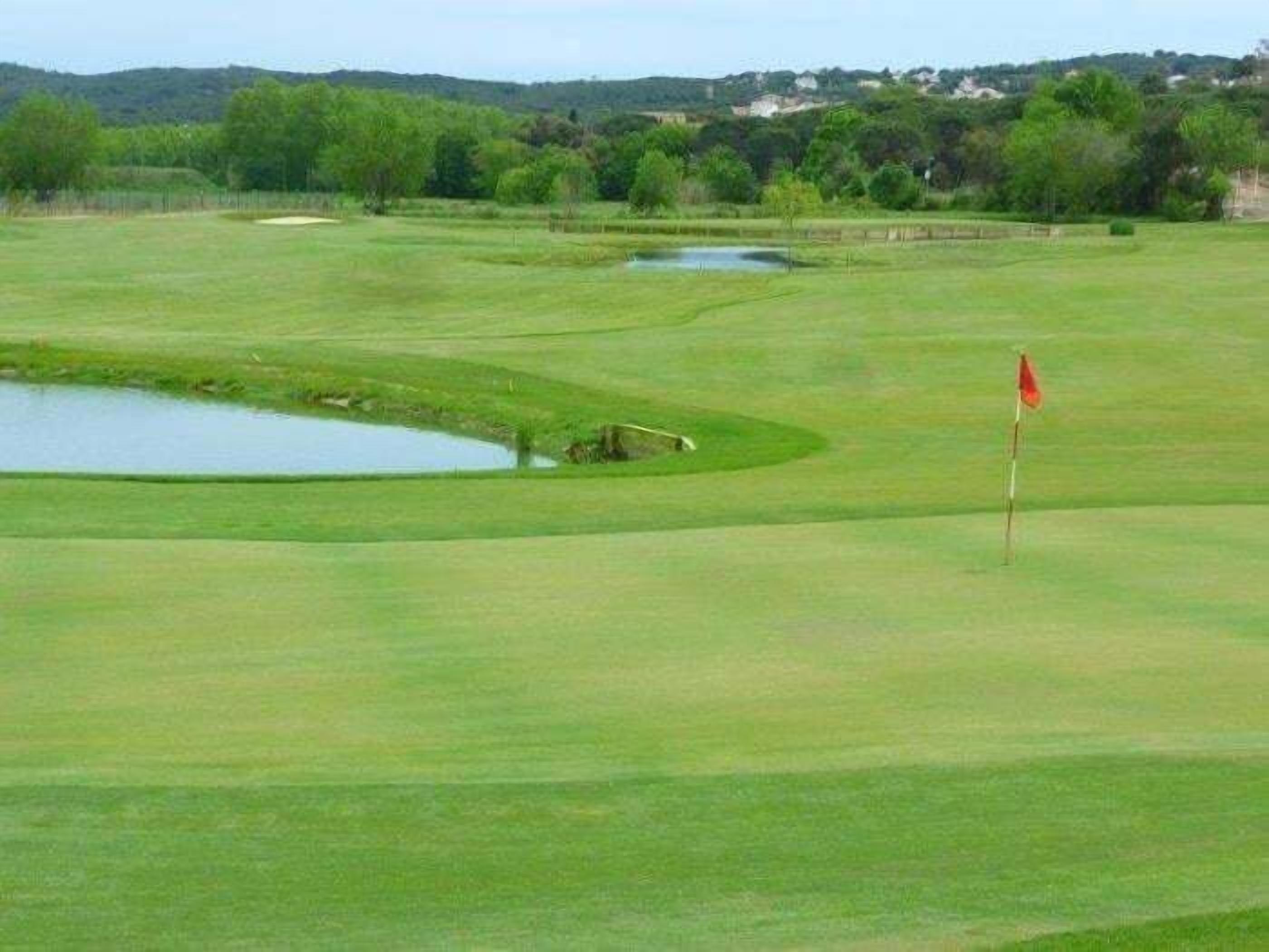 A golf course with a flagstick, water hazards, and a distant tree line.