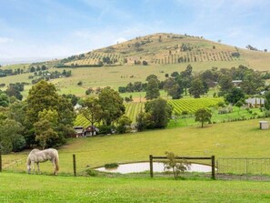 Immagine non classificata, 4 di 11, pulsante