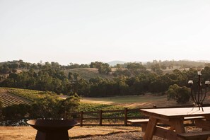 A vineyard with rows of grapevines, a wooden table, and a candelabra. - An Unforgettable View (Dixons Creek)