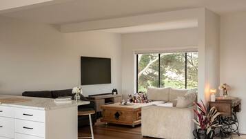 Smart TV, chimenea, libros