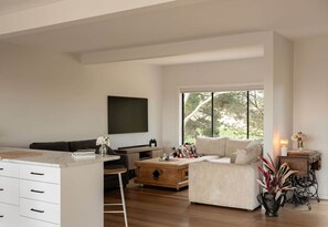 Smart TV, fireplace, books