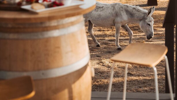 Comedor con una mesa dispuesta para una comida, un barril de madera y vistas a un paisaje montañoso donde pasta un burro.
