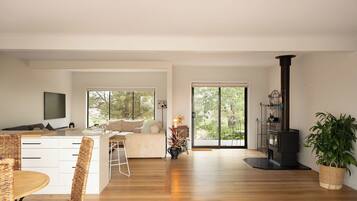 TV connectée, cheminée, livres