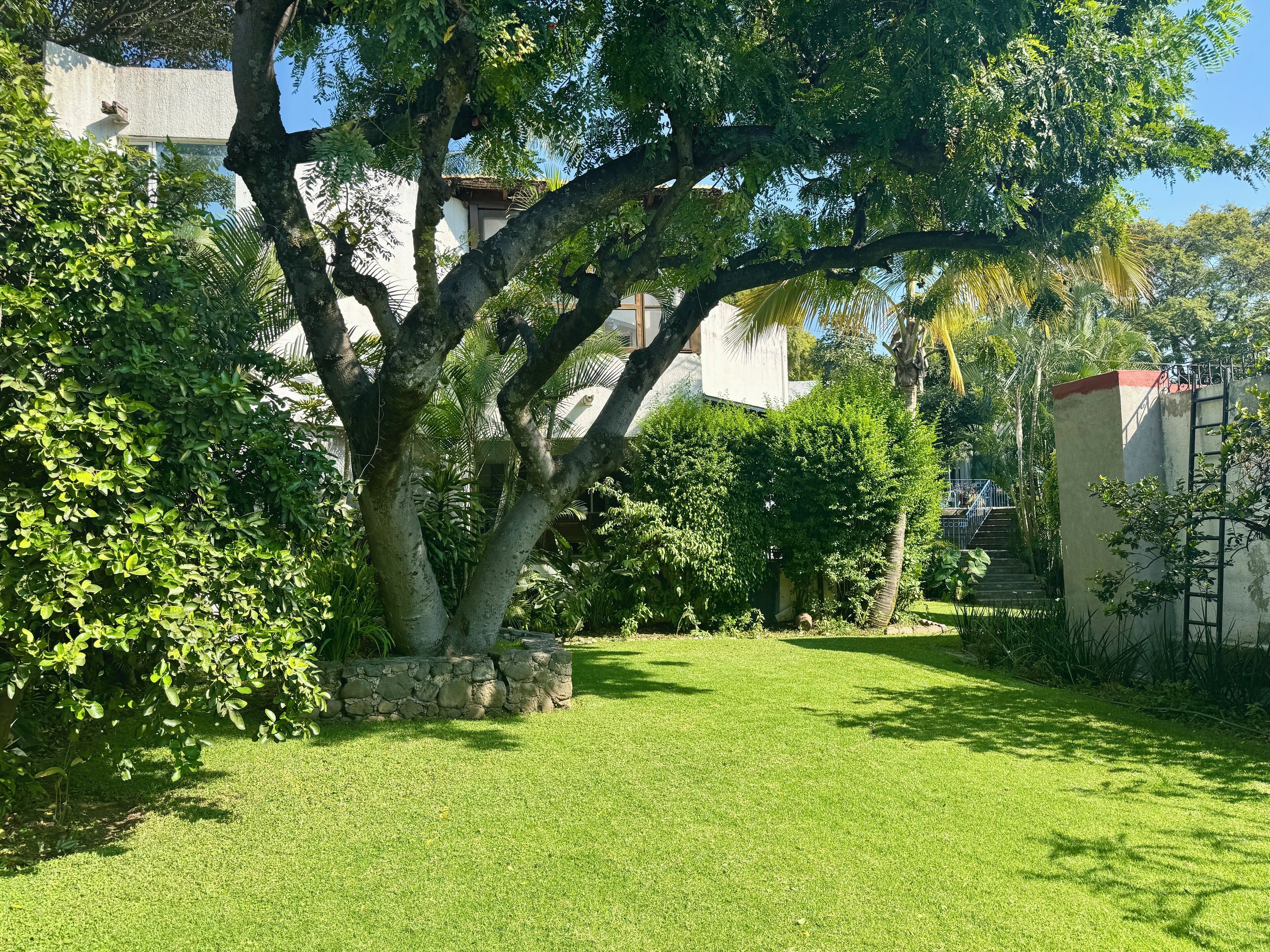 A well-maintained garden with a variety of trees and shrubs, a stone wall, and a clear pathway leading to a building.