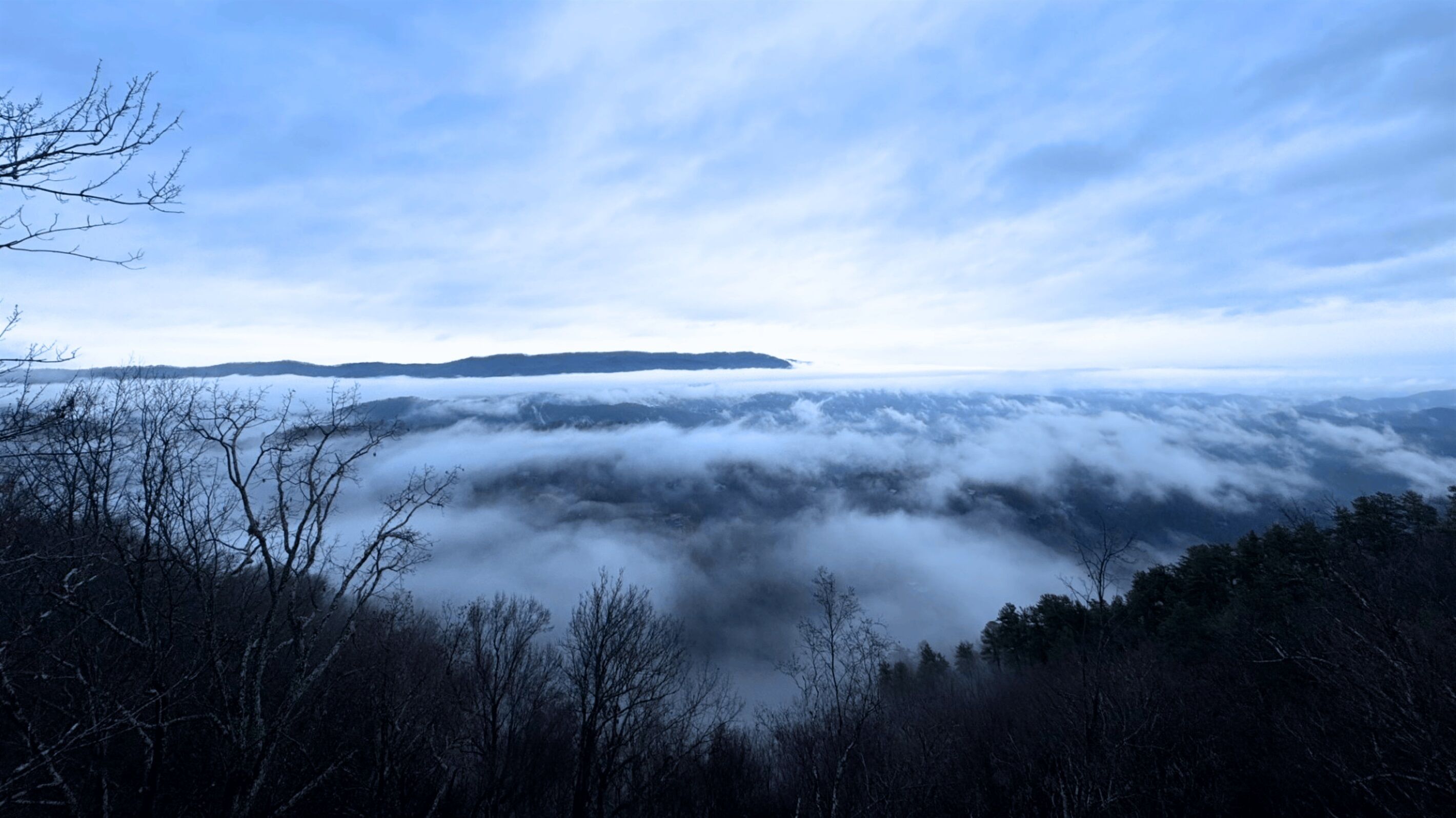 A mountainous landscape with a forested foreground and a distant island.