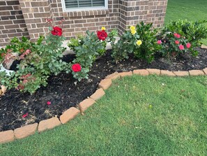 Property grounds - The Expo Retreat, Steps to Brazos County Expo, 6 min to Texas A&M (Bryan)