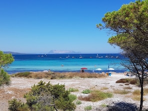 Ein Strand mit klarem, blauem Wasser, Booten und Menschen.