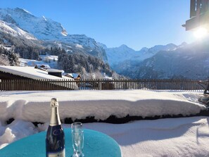 Property grounds - Chalet Graf Apt 1 by Interhome (Wengen)