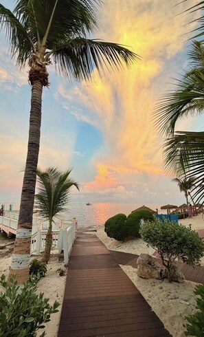 Property grounds - Extremely Discounted Beach Villa at Morritt’s Tortuga Club: Dec 14-21! (Colliers)