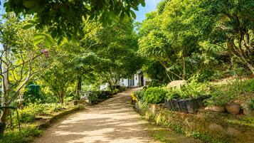 A pathway flanked by lush greenery and potted plants, leading to a building with a white facade.