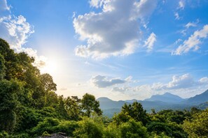 View from property - Hilltop Retreat Matale (Walewela)