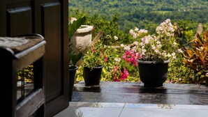 Puerta abierta que da a una terraza con plantas en macetas y un paisaje montañoso.