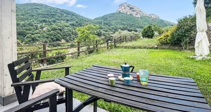 Le radici dell´ulivo by Interhome