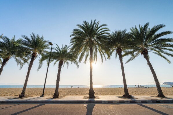 Beach