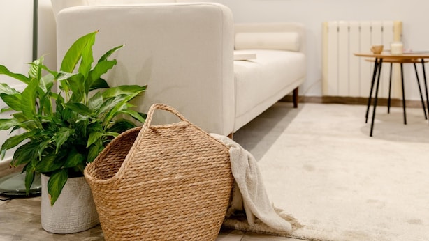 A living room with a white sofa, a small round table with a bowl and a candle, a potted plant, and a woven basket. - Apartment + Workspace Chamberí (Madrid)