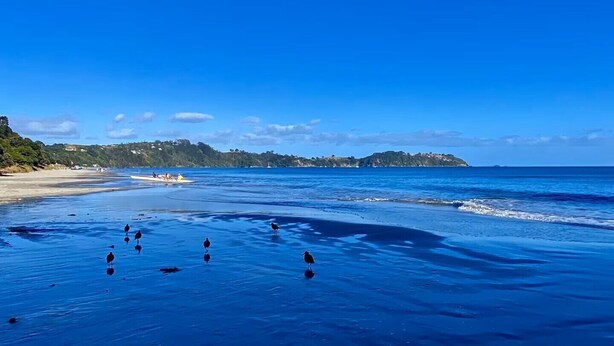 A beach with clear blue water, a sandy shore, and a distant shoreline with buildings. - Omiha Exclusive Retreat (Waiheke Island)