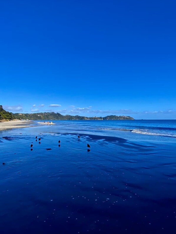 Exclusive House, 3 Bedrooms, Mountain View | Beach/ocean view - Omiha Exclusive Retreat (Waiheke Island)
