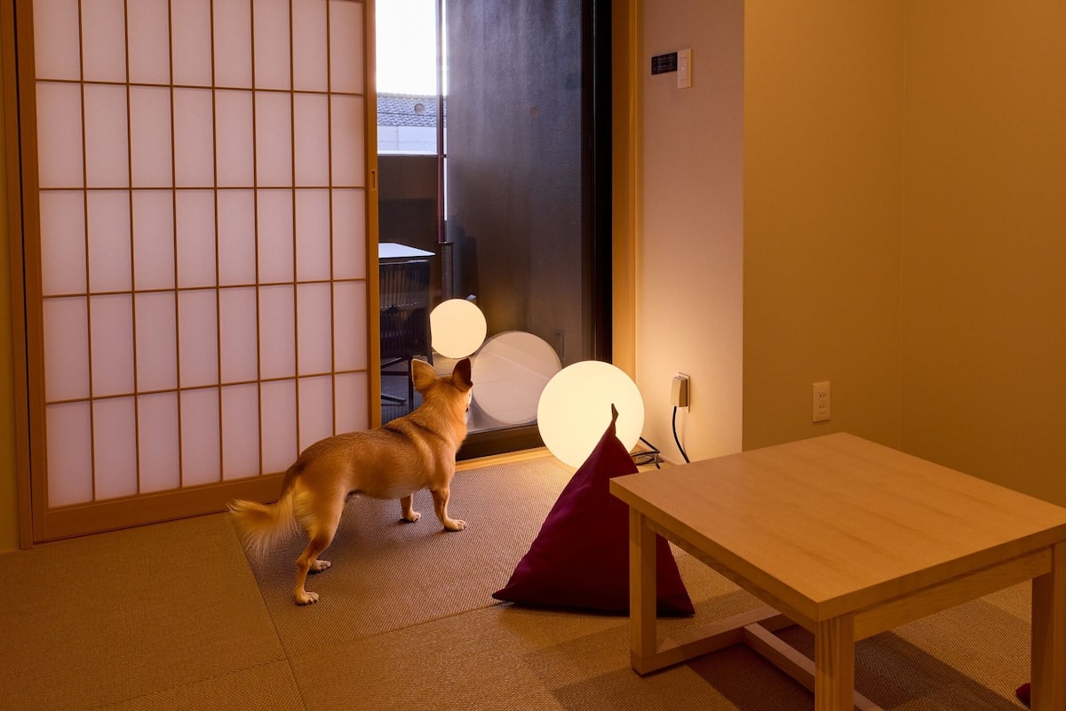 Escritorio, wifi gratis, ropa de cama