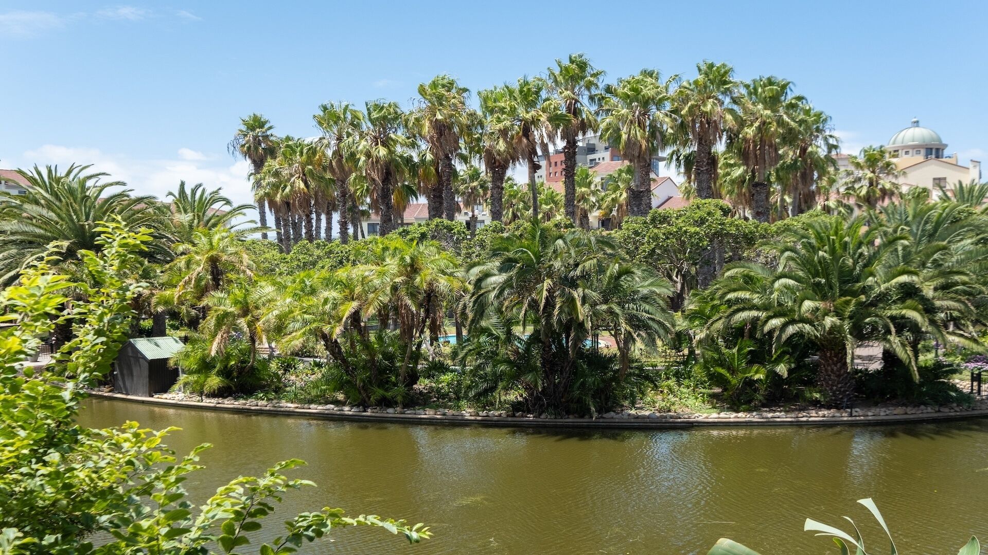 A water body surrounded by palm trees and greenery, with buildings in the background.