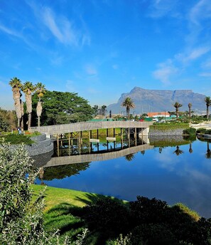 A wooden bridge over a calm water body with palm trees and a mountain in the background.